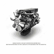 Crankshaft and Bearing Kit