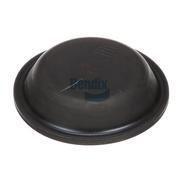 Diaphragm