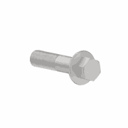 Hexagon Screw