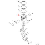 3946154 Image1