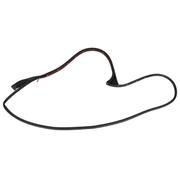 Door Seal Weatherstrip - Right, Front