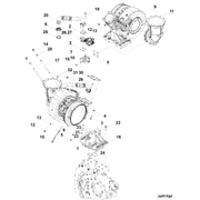 4376516 Image1