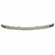 Grille Molding - Front