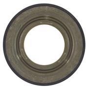 Forward Clutch Balance Piston (AT)