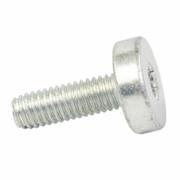 Door Mirror Screw