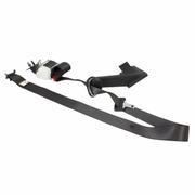 Seat Belt Lap and Shoulder - Left, Rear