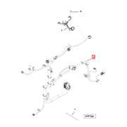 3691982 Image1