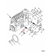3921370 Image1