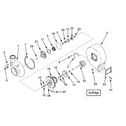 3804871 Image1