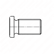 Pipe Plug Screw