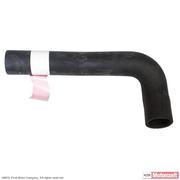 Radiator Coolant Hose - Lower