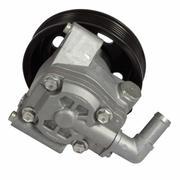 Power Steering Pump (EcoBoost)