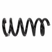 Coil Spring - Left, Rear