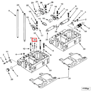 3255472 Image1