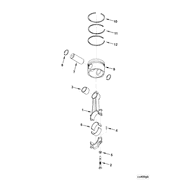 3631245 Image1