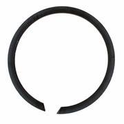 Snap ring