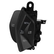 Cruise Control Switch - Left, Lower