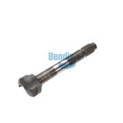 Camshaft