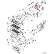 4323797 Image1