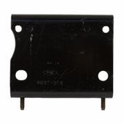 Plate - Rear