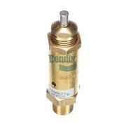 Safety Valve
