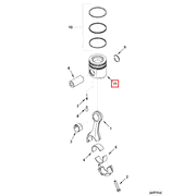 3949844 Image1
