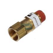 Single Check Valve