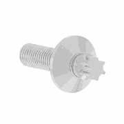 Screw
