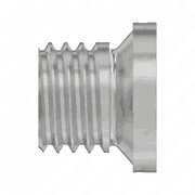 Screw Plug