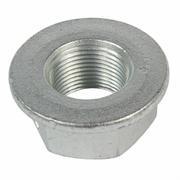 Hex Head Nut
