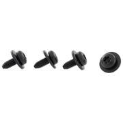 Screw and Washer