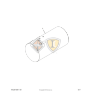 2516187C91 Image 1