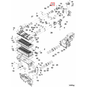 4323805 Image1