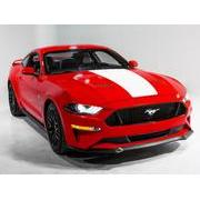 White Single Hood Stripe Kit