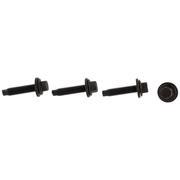 Sliding Door Roller Bracket Bolt (Raptor Series)