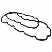 Engine Oil Pan Gasket