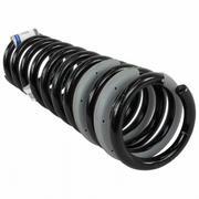 Coil Spring - Rear