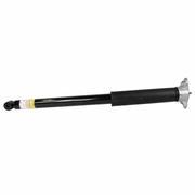 Suspension Shock Absorber - Rear