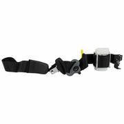 Seat Belt