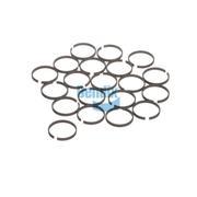 Sealing Ring