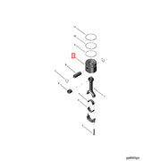 3911400 Image1