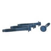 Rack and Pinion Bolt