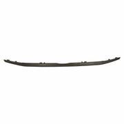 Grille Molding - Front