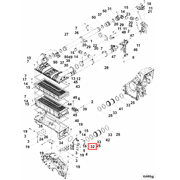 4382541 Image1