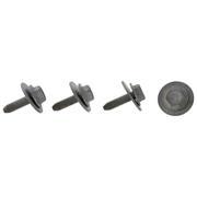 Screw and Washer
