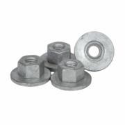 Adjusting Screw Nut - M6 X 1.00