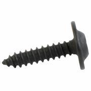 Instrument Panel Bezel Screw - 4.2 X 19MM