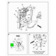 Figure 1CFNX