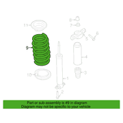 Coil Spring - Rear
