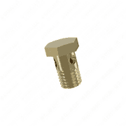 Hollow Screw